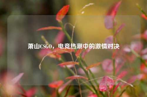 萧山CSGO，电竞热潮中的激情对决