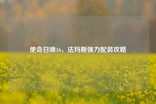使命召唤16，法玛斯强力配装攻略