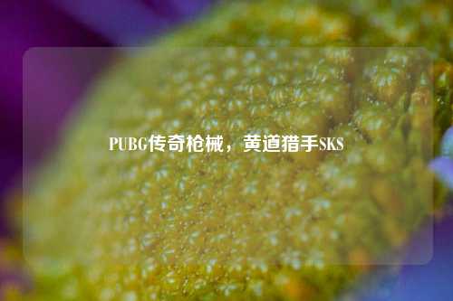 PUBG传奇枪械，黄道猎手SKS