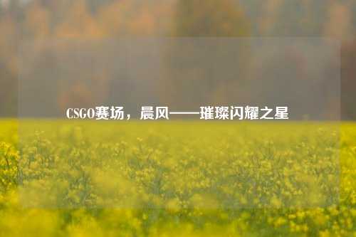 CSGO赛场,晨风——璀璨闪耀之星
