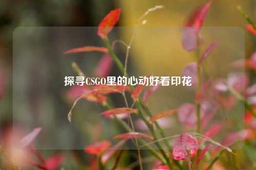 探寻CSGO里的心动好看印花