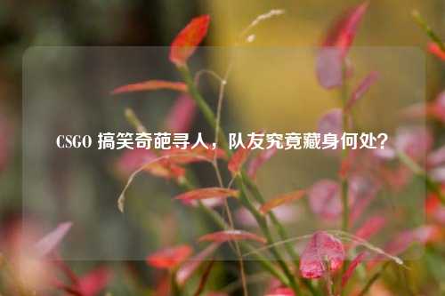 CSGO 搞笑奇葩寻人,队友究竟藏身何处?