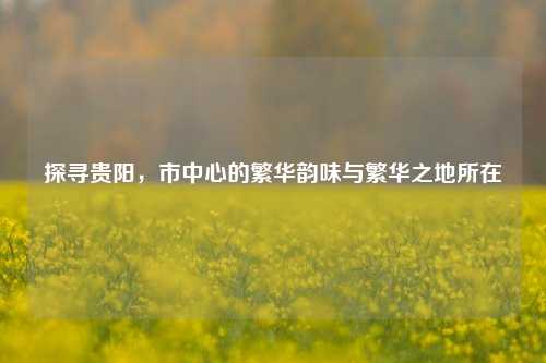 探寻贵阳,市中心的繁华韵味与繁华之地所在
