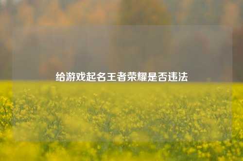 给游戏起名王者荣耀是否违法
