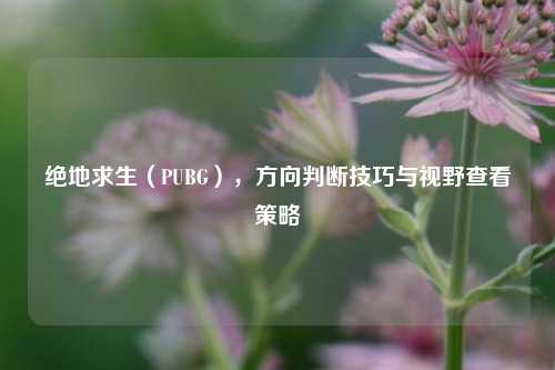 绝地求生（PUBG），方向判断技巧与视野查看策略