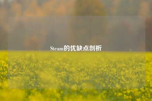 Steam的优缺点剖析