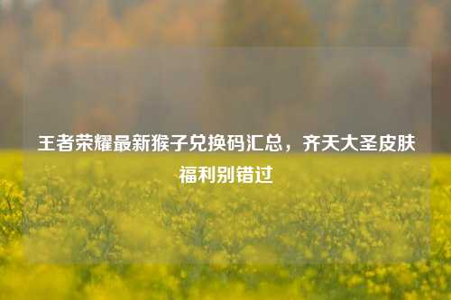王者荣耀最新猴子兑换码汇总，齐天大圣皮肤福利别错过