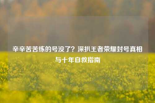 辛辛苦苦练的号没了？深扒王者荣耀封号真相与十年自救指南
