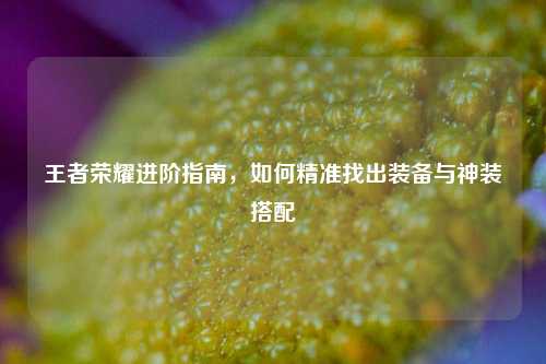 王者荣耀进阶指南，如何精准找出装备与神装搭配