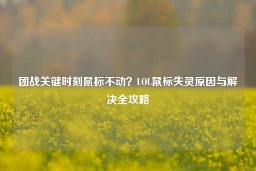 团战关键时刻鼠标不动？LOL鼠标失灵原因与解决全攻略
