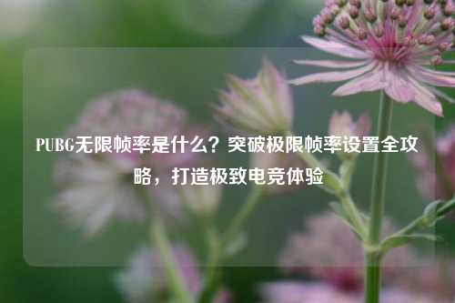 PUBG无限帧率是什么？突破极限帧率设置全攻略，打造极致电竞体验