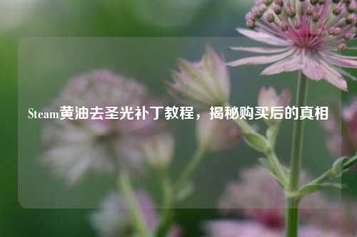 Steam黄油去圣光补丁教程,揭秘购买后的真相