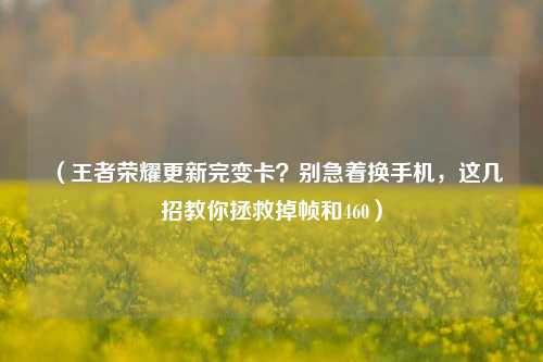 （王者荣耀更新完变卡？别急着换手机，这几招教你拯救掉帧和460）
