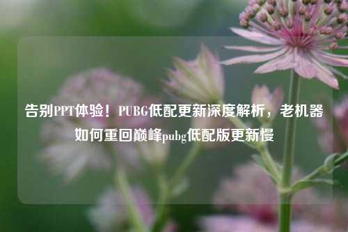 告别PPT体验！PUBG低配更新深度解析，老机器如何重回巅峰pubg低配版更新慢