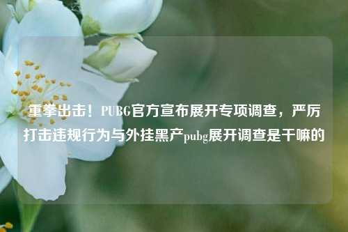 重拳出击！PUBG官方宣布展开专项调查，严厉打击违规行为与外挂黑产pubg展开调查是干嘛的