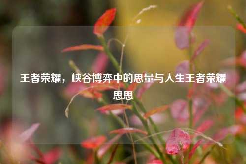 王者荣耀，峡谷博弈中的思量与人生王者荣耀思思