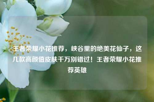 王者荣耀小花推荐，峡谷里的绝美花仙子，这几款高颜值皮肤千万别错过！王者荣耀小花推荐英雄
