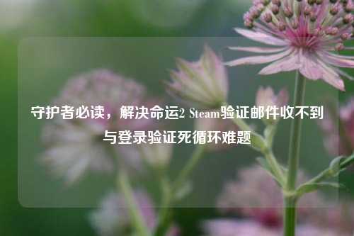 守护者必读，解决命运2 Steam验证邮件收不到与登录验证死循环难题