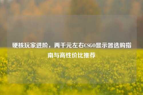 硬核玩家进阶，两千元左右CSGO显示器选购指南与高性价比推荐