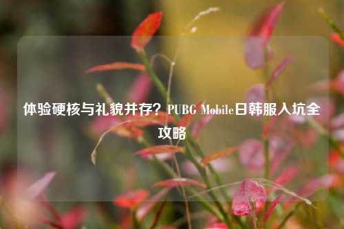 体验硬核与礼貌并存?PUBG Mobile日韩服入坑全攻略