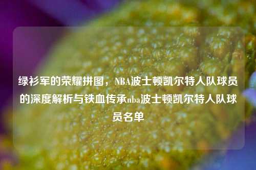 绿衫军的荣耀拼图,NBA波士顿凯尔特人队球员的深度解析与铁血传承nba波士顿凯尔特人队球员名单
