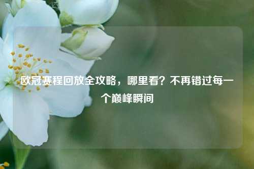 欧冠赛程回放全攻略,哪里看?不再错过每一个巅峰瞬间