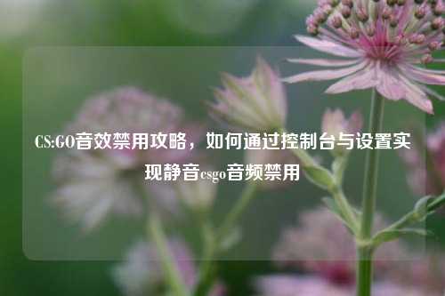 CS:GO音效禁用攻略，如何通过控制台与设置实现静音csgo音频禁用