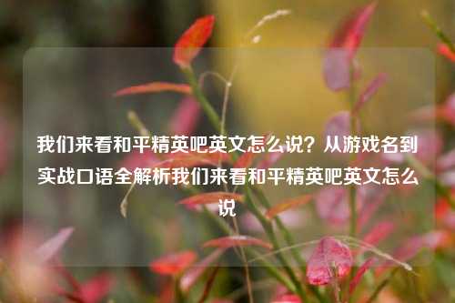 我们来看和平精英吧英文怎么说？从游戏名到实战口语全解析我们来看和平精英吧英文怎么说