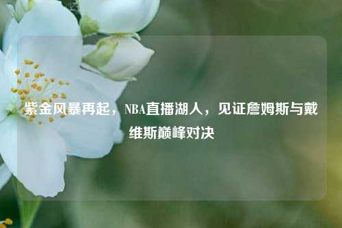 紫金风暴再起，NBA直播湖人，见证詹姆斯与戴维斯巅峰对决