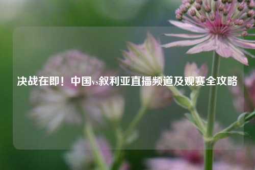 决战在即！中国vs叙利亚直播频道及观赛全攻略