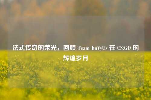 法式传奇的荣光，回顾 Team EnVyUs 在 CS:GO 的辉煌岁月
