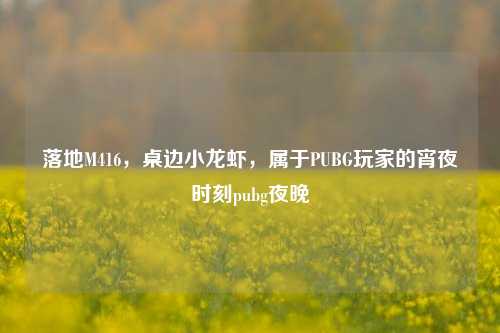 落地M416，桌边小龙虾，属于PUBG玩家的宵夜时刻pubg夜晚