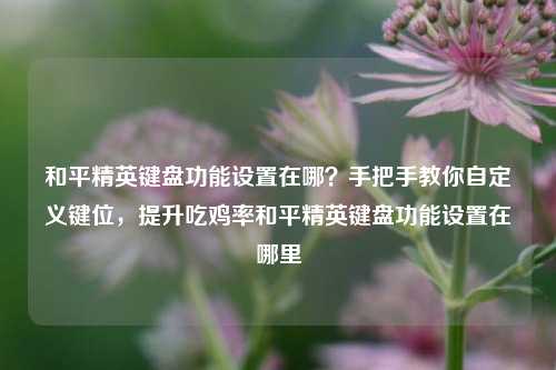 和平精英键盘功能设置在哪？手把手教你自定义键位，提升吃鸡率和平精英键盘功能设置在哪里