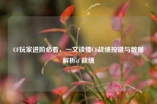 CF玩家进阶必看，一文读懂CF战绩按键与数据解析cf 战绩