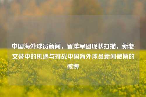 中国海外球员新闻,留洋军团现状扫描,新老交替中的机遇与挑战中国海外球员新闻微博的微博