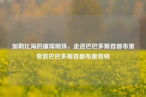 加勒比海的璀璨明珠,走进巴巴多斯首都布里奇敦巴巴多斯首都布里奇顿