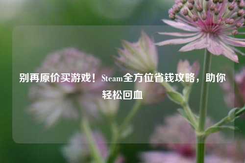 别再原价买游戏！Steam全方位省钱攻略，助你轻松回血