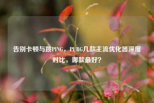 告别卡顿与跳PING，PUBG几款主流优化器深度对比，哪款最好？