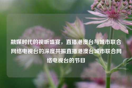 融媒时代的视听盛宴,直播港澳台与城市联合网络电视台的深度共振直播港澳台城市联合网络电视台的节目