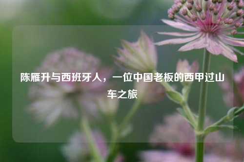 陈雁升与西班牙人,一位中国老板的西甲过山车之旅