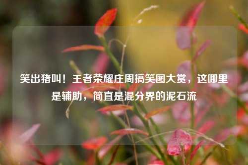 笑出猪叫！王者荣耀庄周搞笑图大赏，这哪里是辅助，简直是混分界的泥石流