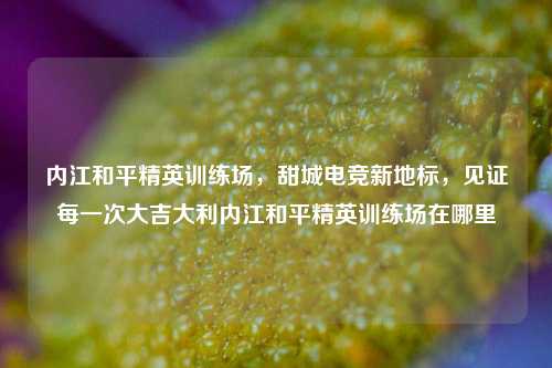 内江和平精英训练场,甜城电竞新地标,见证每一次大吉大利内江和平精英训练场在哪里