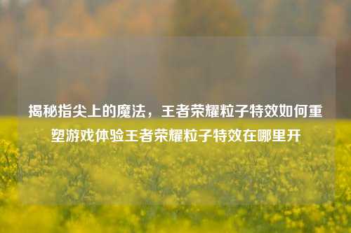 揭秘指尖上的魔法，王者荣耀粒子特效如何重塑游戏体验王者荣耀粒子特效在哪里开