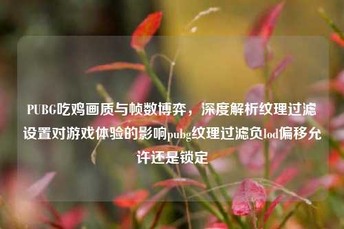 PUBG吃鸡画质与帧数博弈，深度解析纹理过滤设置对游戏体验的影响pubg纹理过滤负lod偏移允许还是锁定