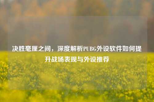 决胜毫厘之间，深度解析PUBG外设软件如何提升战场表现与外设推荐