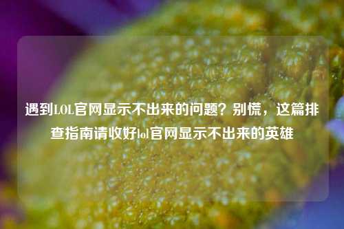 遇到LOL官网显示不出来的问题?别慌,这篇排查指南请收好lol官网显示不出来的英雄