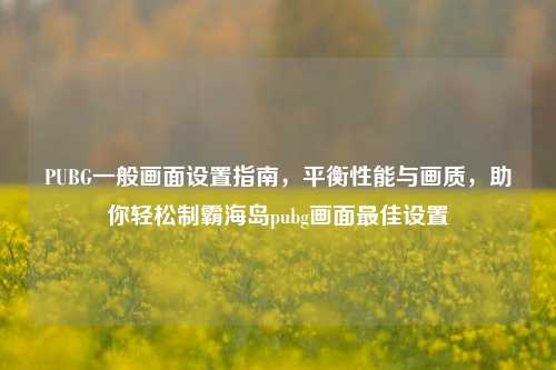 PUBG一般画面设置指南，平衡性能与画质，助你轻松制霸海岛pubg画面最佳设置