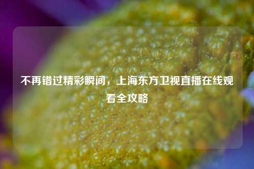 不再错过精彩瞬间，上海东方卫视直播在线观看全攻略