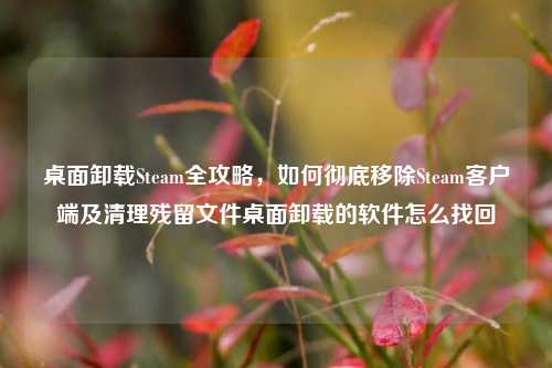 桌面卸载Steam全攻略,如何彻底移除Steam客户端及清理残留文件桌面卸载的软件怎么找回