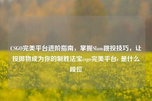 CSGO完美平台进阶指南，掌握Slam跳投技巧，让投掷物成为你的制胜法宝csgo完美平台c 是什么段位